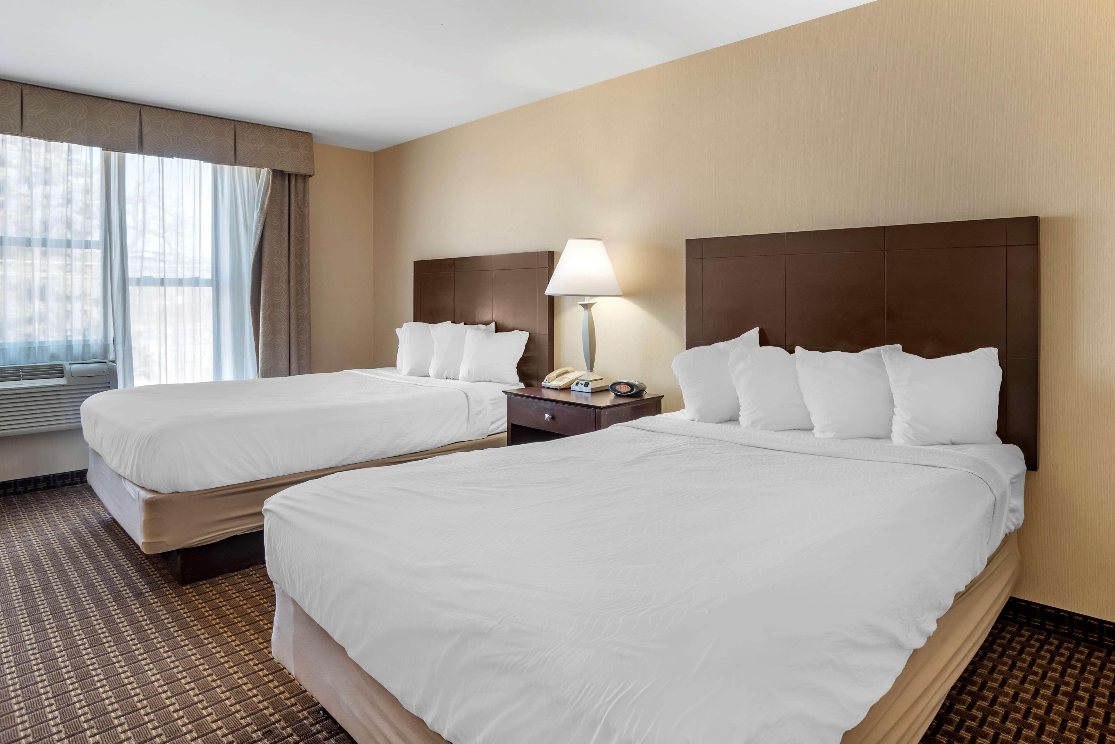 Best Western Plus Philadelphia Airport South - At Widener University Chester Bagian luar foto